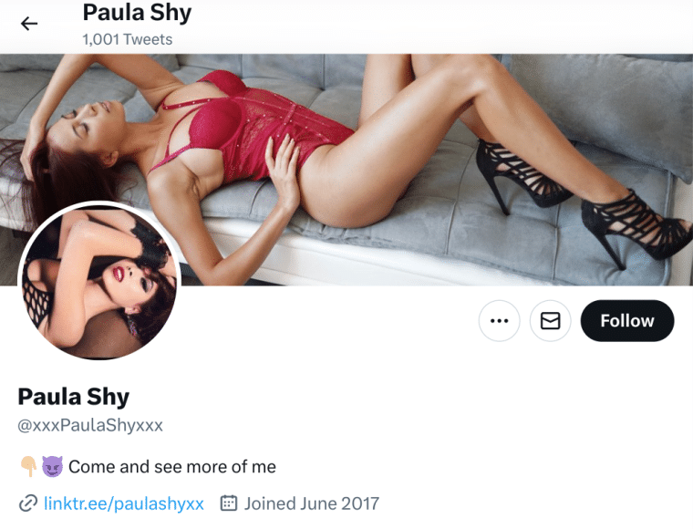 Paula Shy Twitter Profile Header