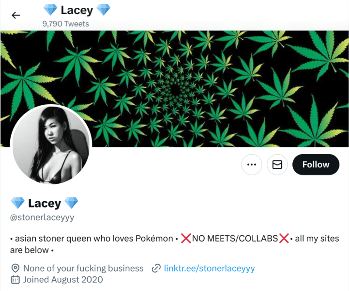 Stoner Lacey Twitter Header