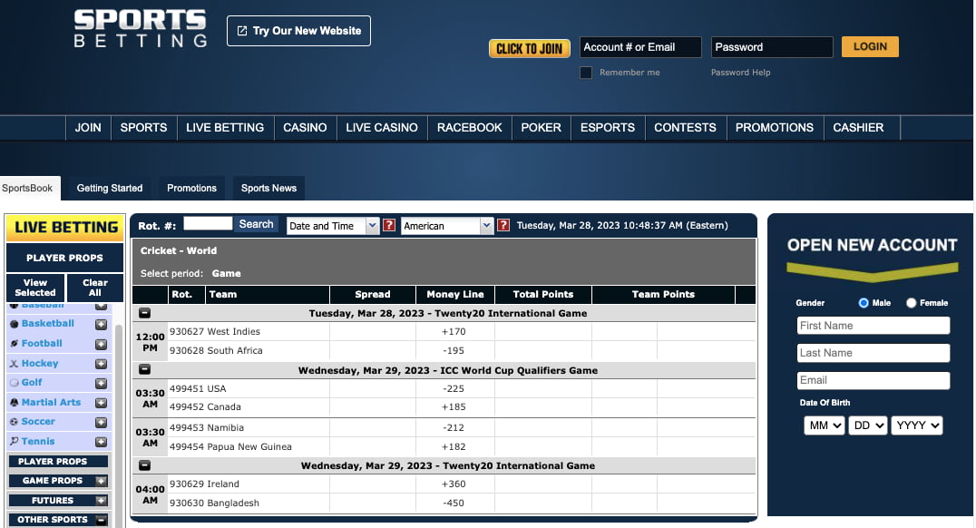 Cricket Betting Guide 2024 Best Cricket Betting Sites