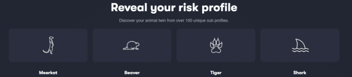 libertify review 5