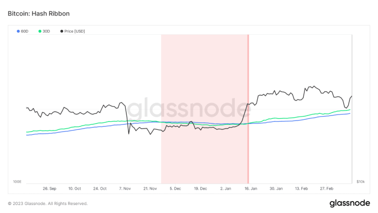 Bitcoin BTC Hash Ribbons