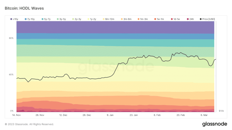 Bitcoin BTC HODL waves