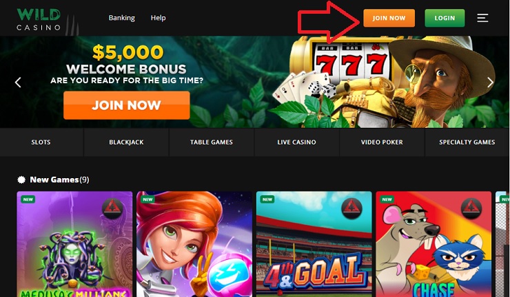 wild casino join now tablet