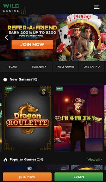 Wild casino homepage