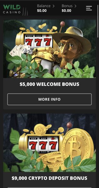 Wild Casino Bonus and Promotion