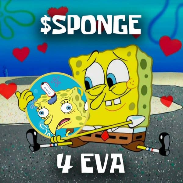SPONGE 