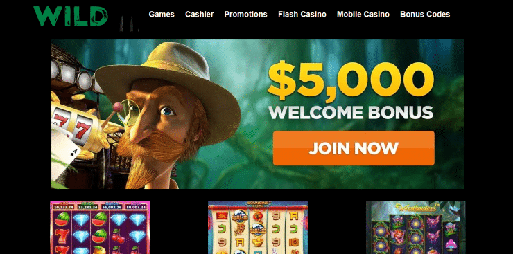 Wild Casino Home Page