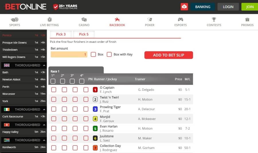 Superfecta Bet Guide What Does Superfecta Mean in Betting?