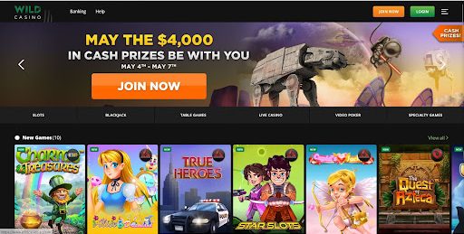 wild casino - easy-to-use gambling site