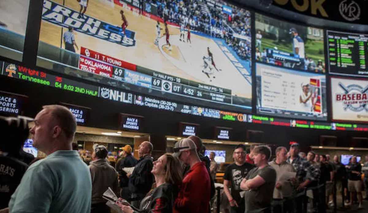 The Most Important Sports Betting Statistics To Know In 2024