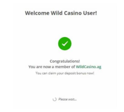 Varifiaction wild casino