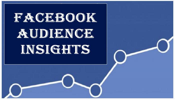 How to Master Facebook Audience Insights to Maximize Ad Returns