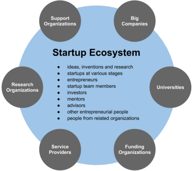 Startup ecosystem