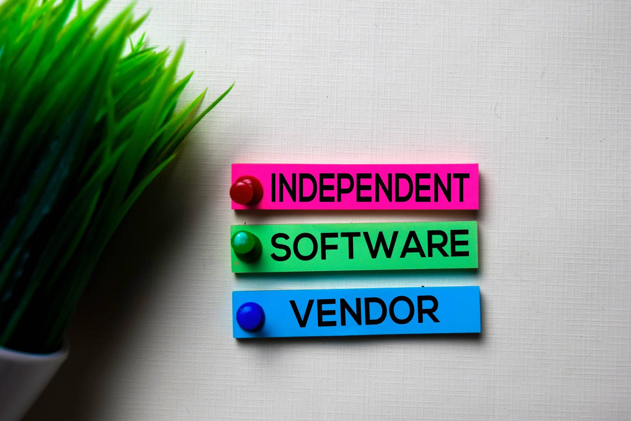 What Is an ISV (Independent Software Vendor)?