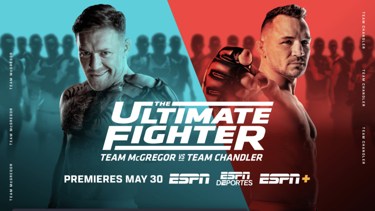 the ultimate fighter
