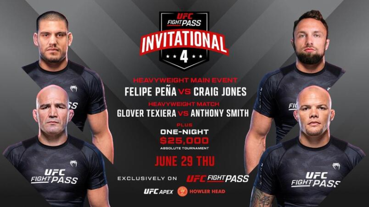ufc fight pass