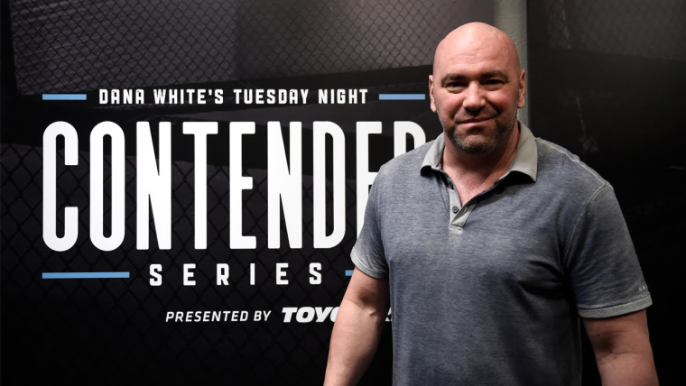 dana white contender series