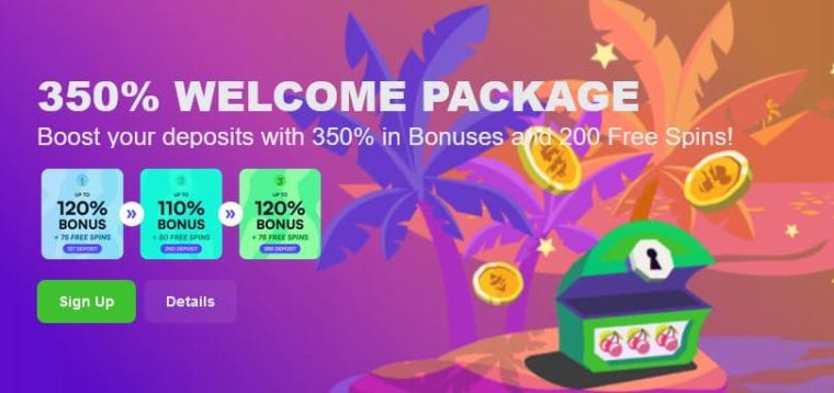 Wild.io Casino Review & Bonus Codes for December 2023