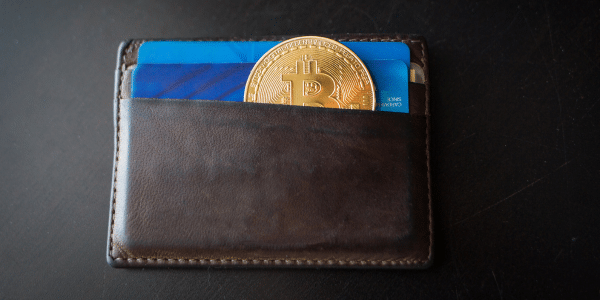 a bitcoin in a wallet