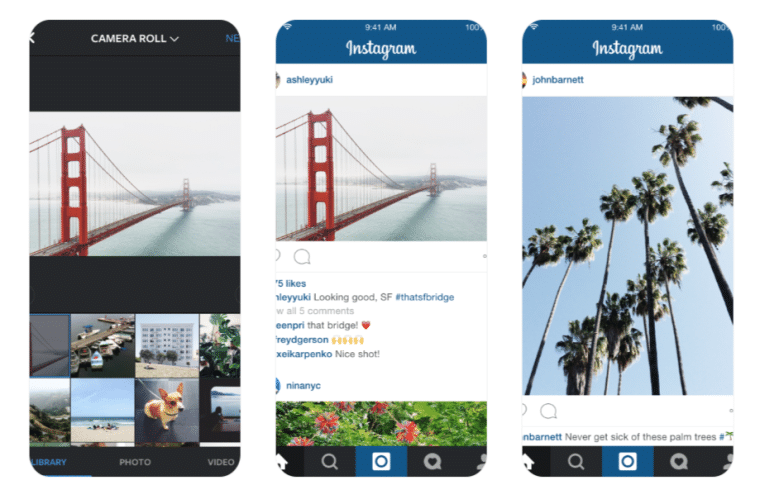 Landscape and portrait Instagram posts showing the Golden Gate Bridge and palm trees captured in full