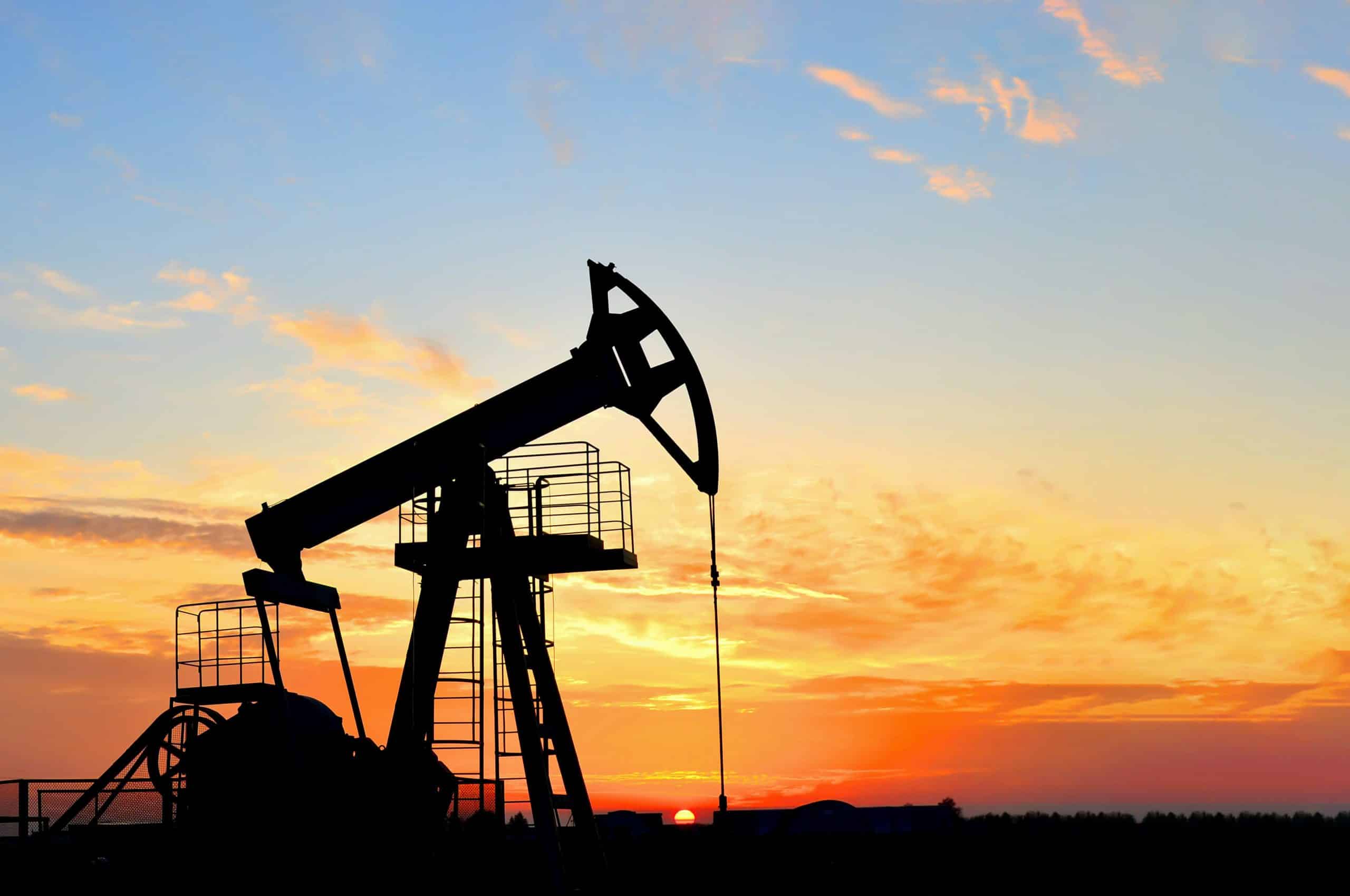 oil plant