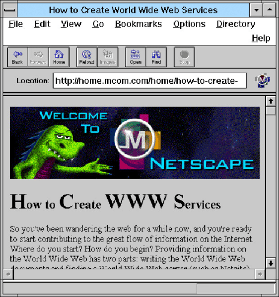 a screenshot of Netscape